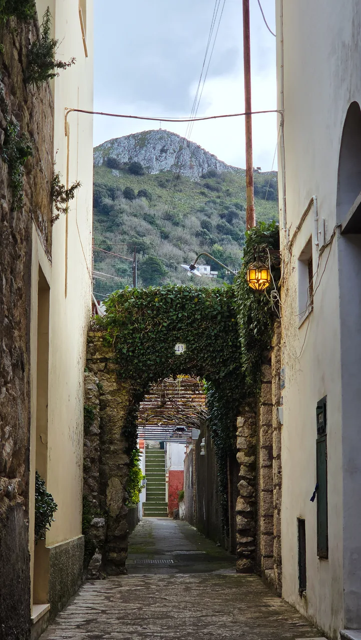 Italy, photo 3