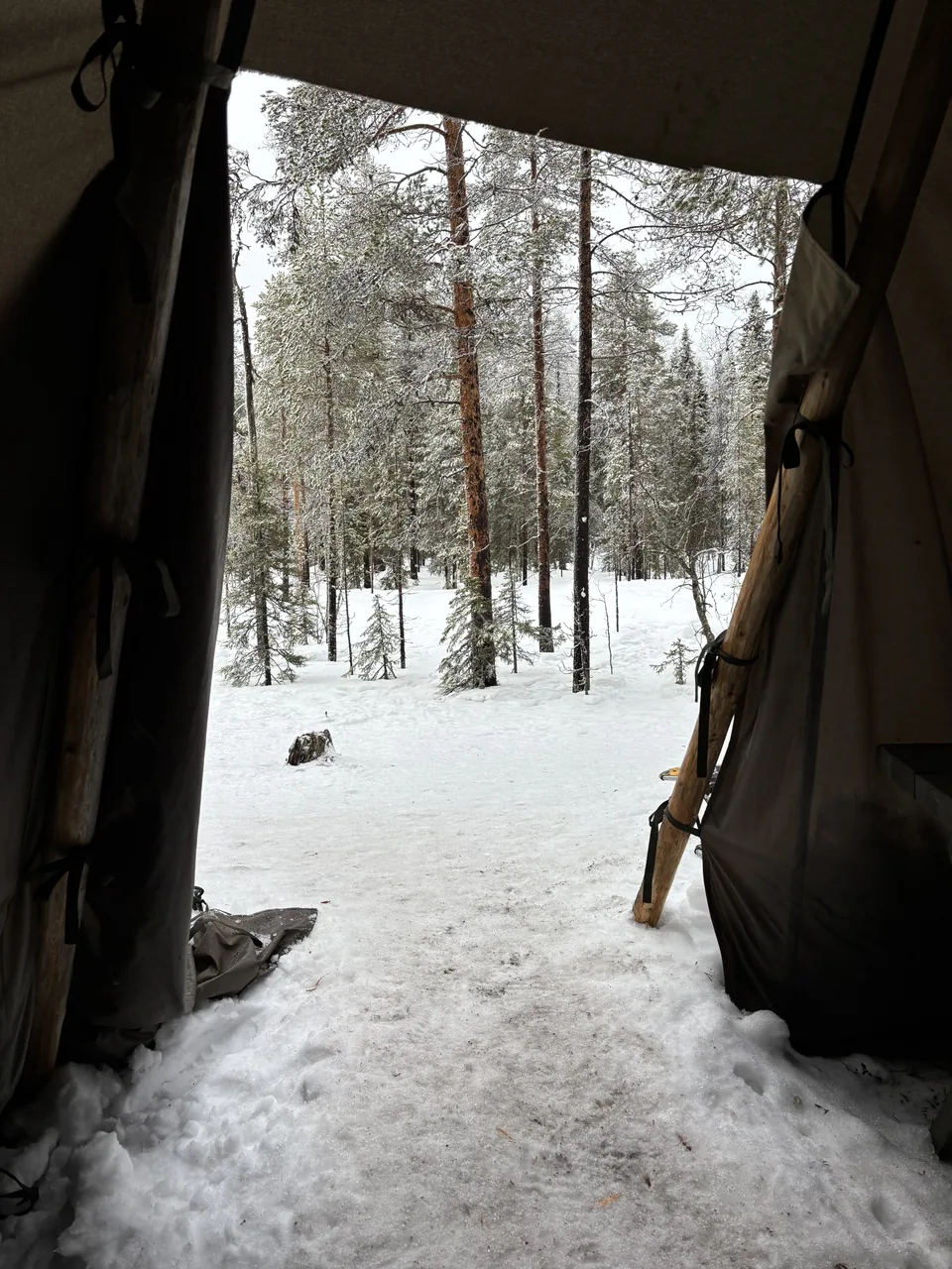 Lapland, photo 5