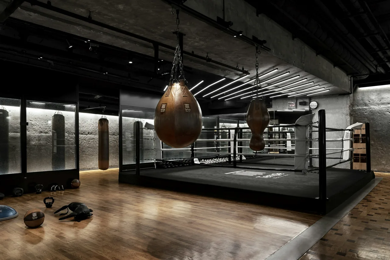Boxing photo 7