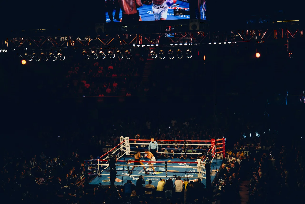 Boxing photo 2