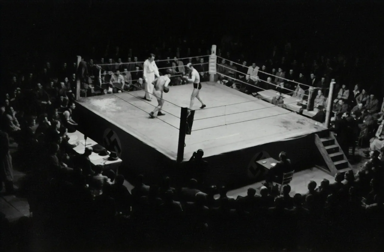 Boxing photo 10