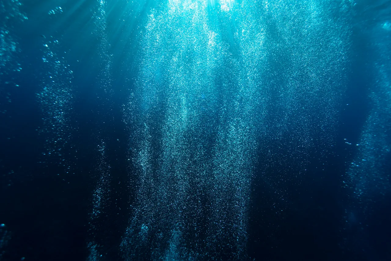 Scuba diving photo 6