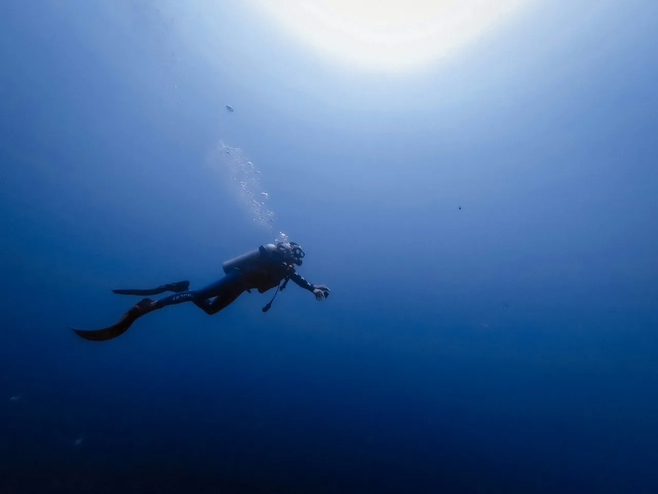 Scuba diving photo 12
