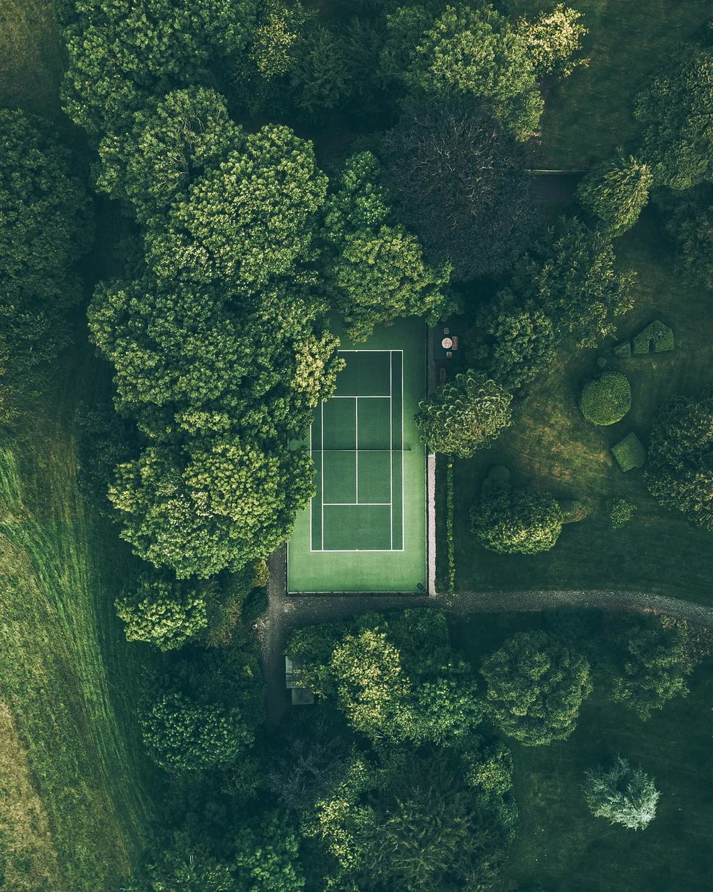 Tennis photo 4