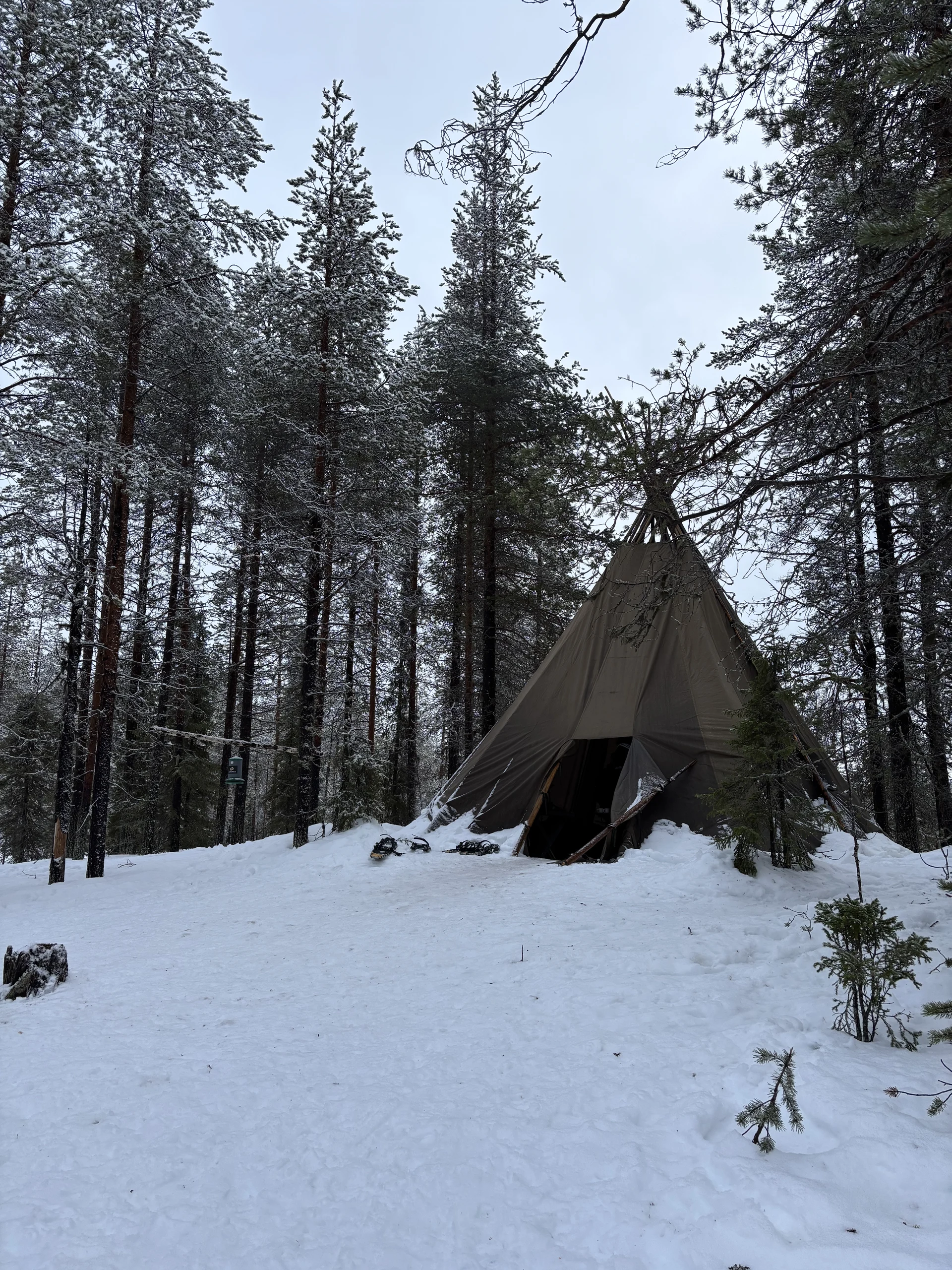 Lapland, photo 4