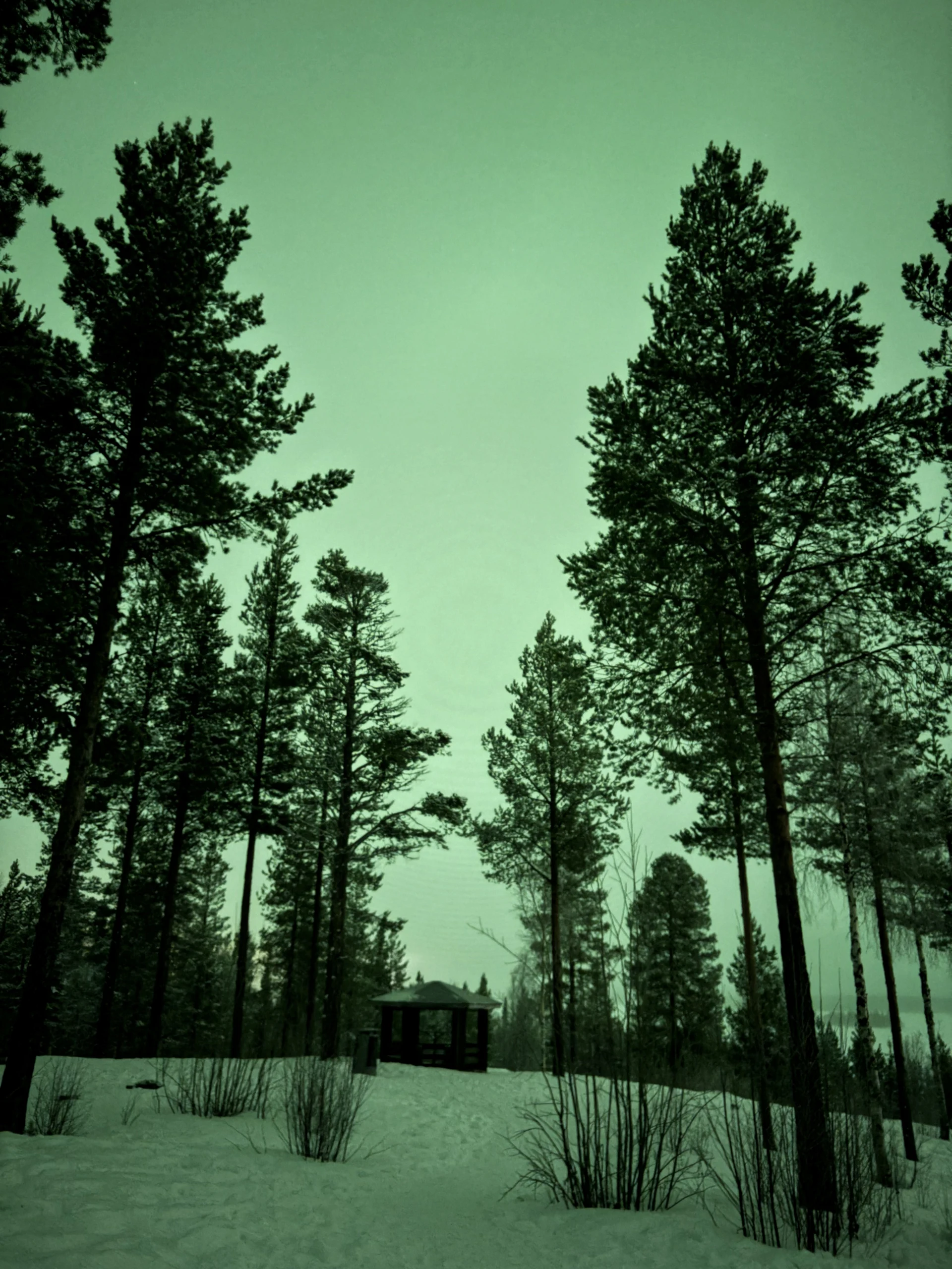 Lapland, photo 8